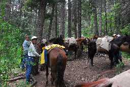 Preparing to mount at Cyphers Mine after lunch, mine tour and blacksmithing